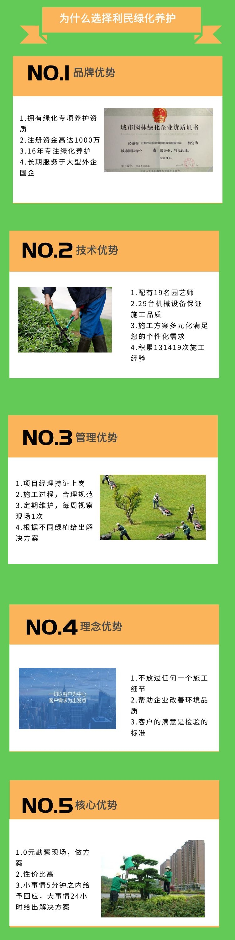綠化養(yǎng)護.jpg