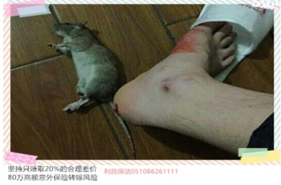 滅老鼠